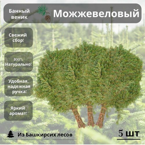 Банный веник можжевеловый 5 штук