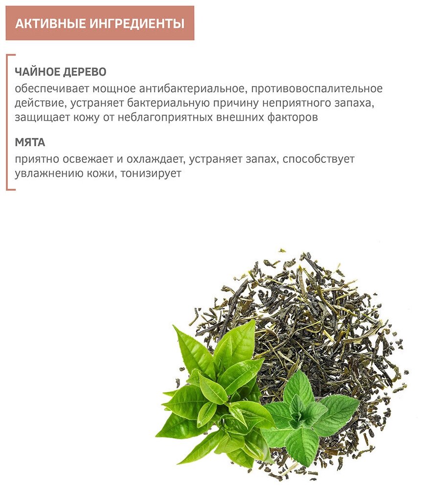 ZEITUN Гель для душа мужской, защитный с антибактериальным эффектом, с маслом чайного дерева, 250 мл - фотография № 10