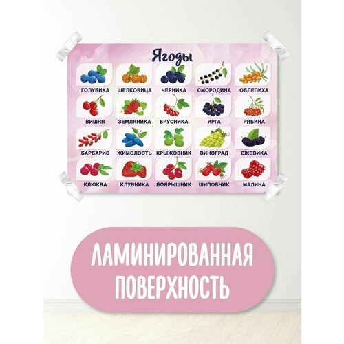 Обучающий плакат, обучающий материал, школьные плакаты, овощи, фрукты, ягоды