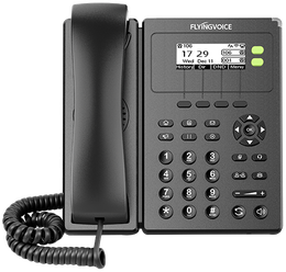 IP-телефон FLYINGVOICE P10, 2 SIP аккаунта, монохромный дисплей 2,3 дюйма, 132 x 64 с подсветкой, конференция на 6 абонентов