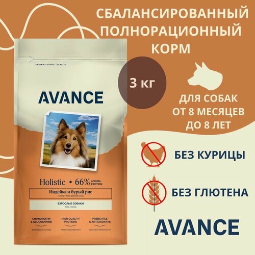 AVANCE holistic полнорационный корм для взрослых собак с индейкой и бурым рисом, 3 кг