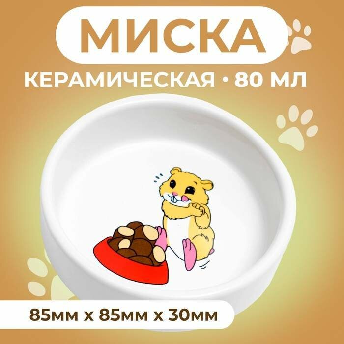 Миска керамическая для грызунов "Хомячок" 80 мл 8,5 х 3 см (арт. 1302260)