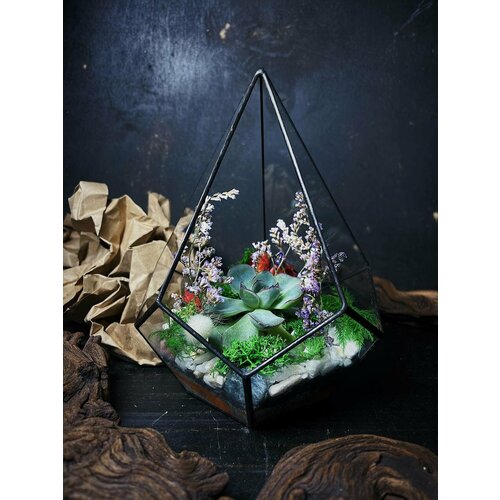 Флорариум с суккулентом Розетта от Flolefor 3800₽