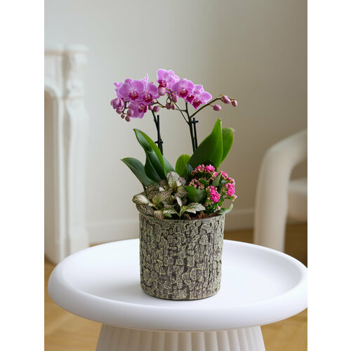 Композиция 