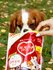 Корм для собак сухой Japan Premium Pet с коллагеном и DHA для раз...