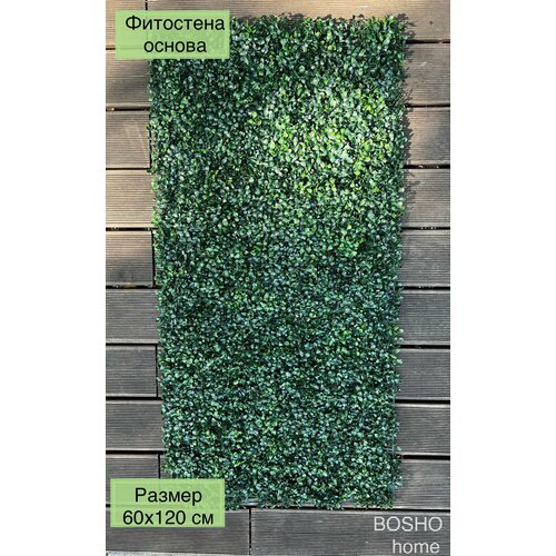 Фитостена из декоративного самшита вертикальное озеленение 60х120 см 2199₽