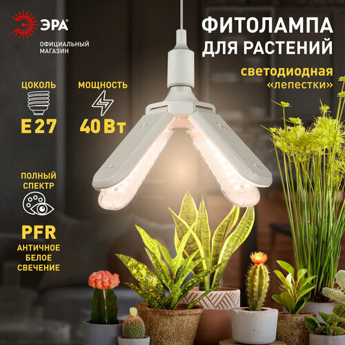 Фитолампа для растений светодиодная ЭРА GREEN LINE ФИТО-40W-PFR-E27-GR 4-х лепестковая полного спектра 40 Вт Е27 белый