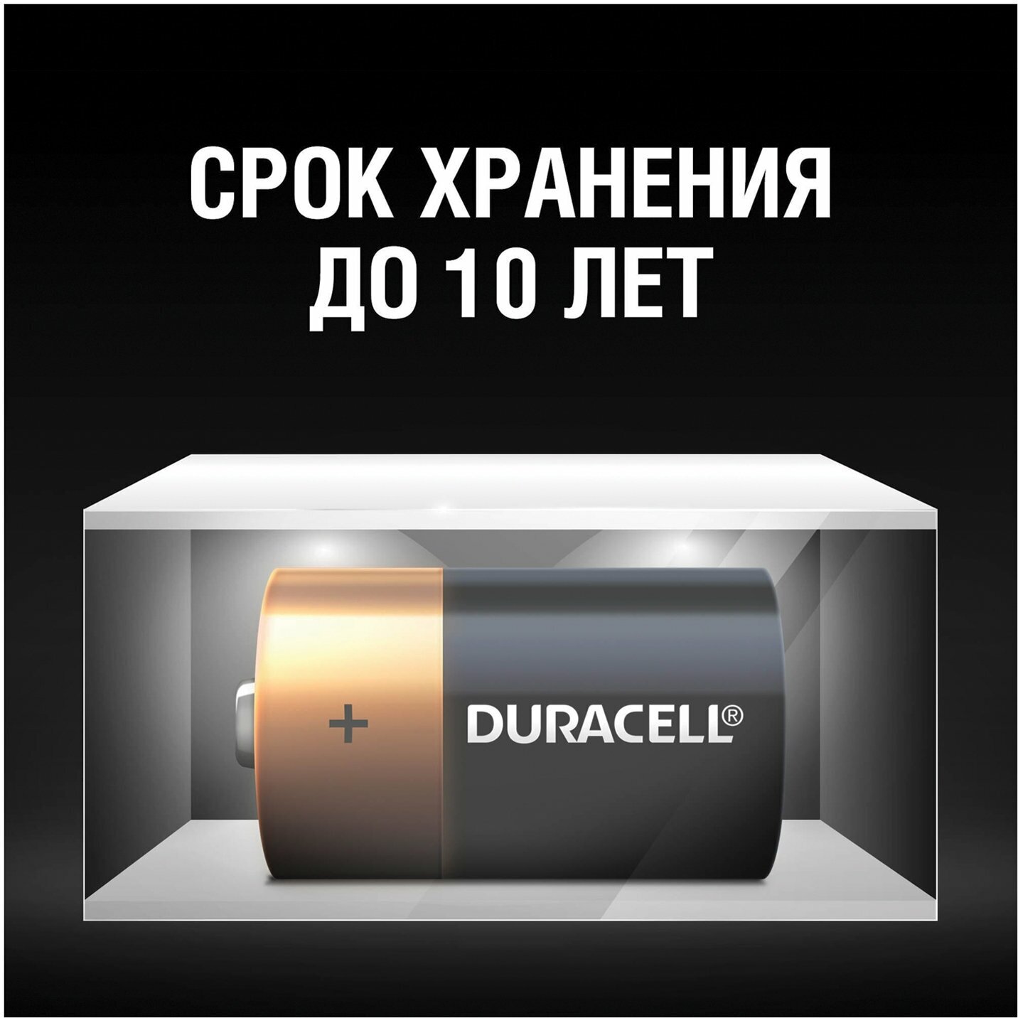 Батарейки DURACELL Basic, D (LR20, 13А), алкалиновые, комплект 2 шт, в блистере, MN 1300D LR20 — фото 1