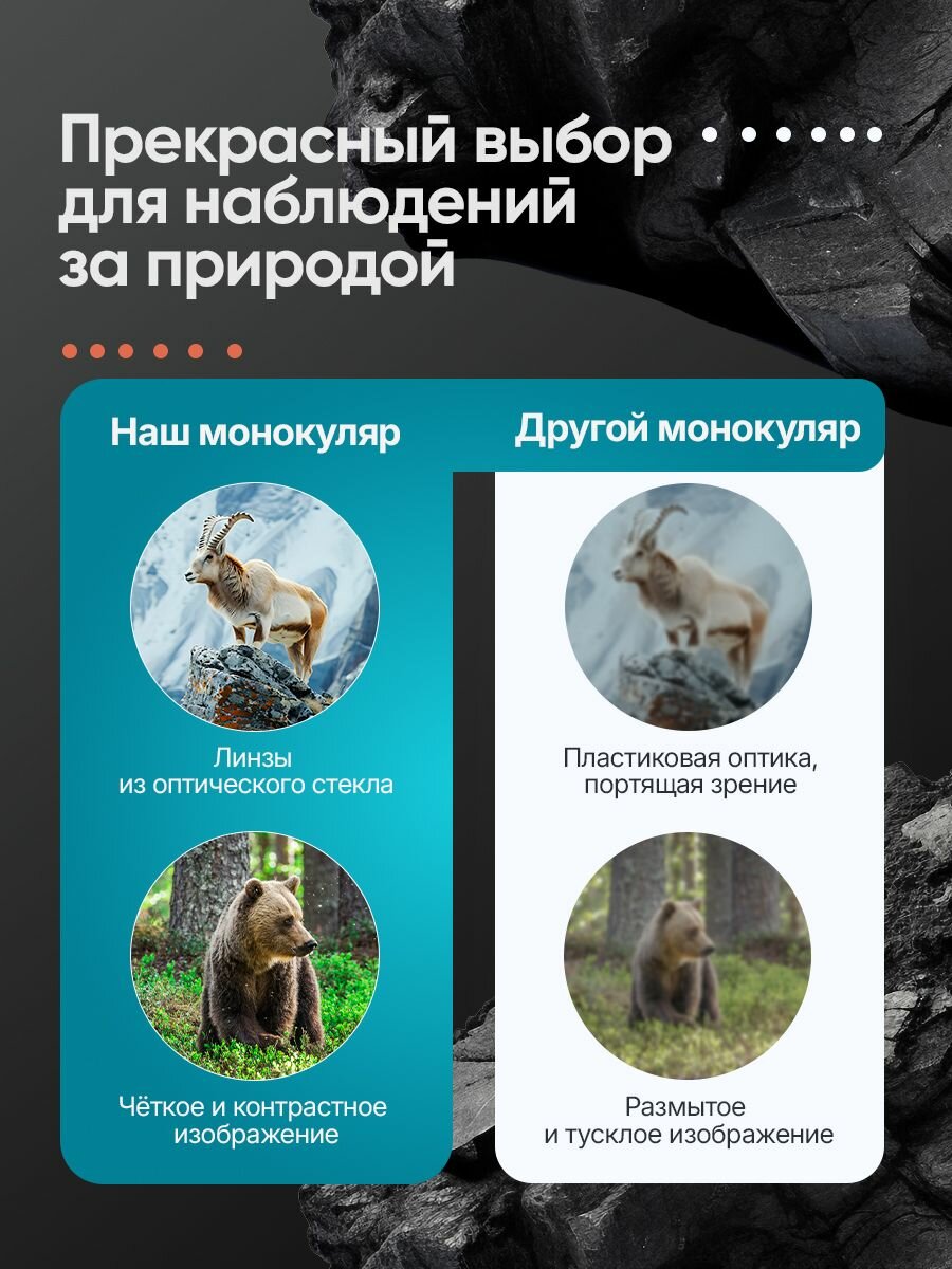 Монокуляр Levenhuk Atom 8x42 Компактный и удобный — фото 1