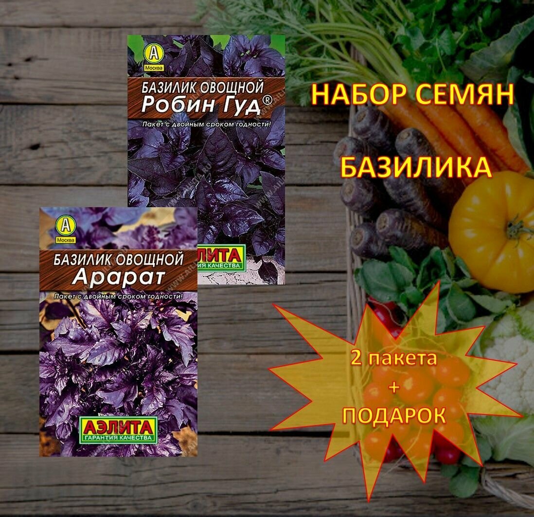 Семена фиолетового базилика Арарат Робин гуд