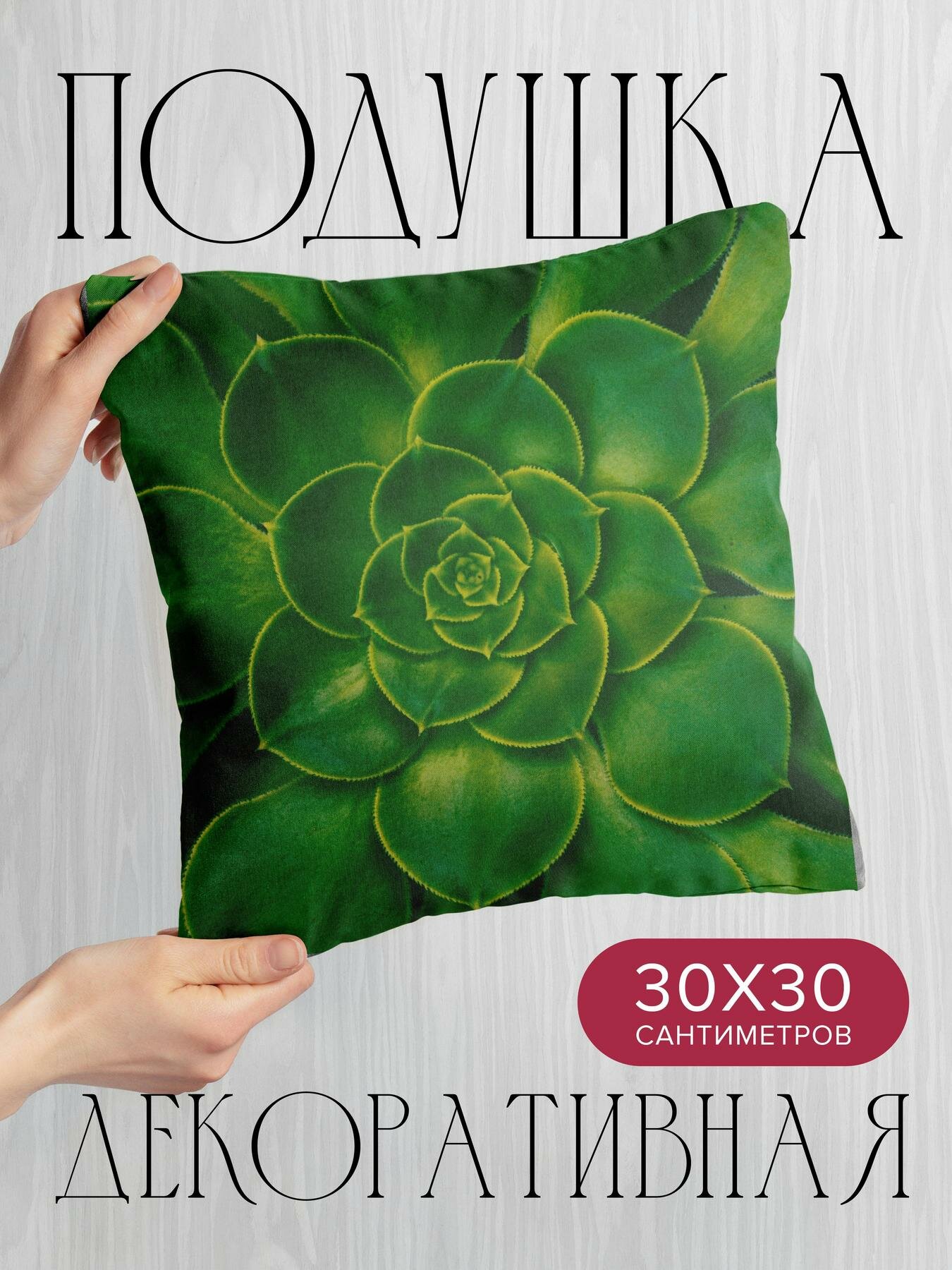 Подушка декоративная, 30x30см / Макро / растение / суккулент