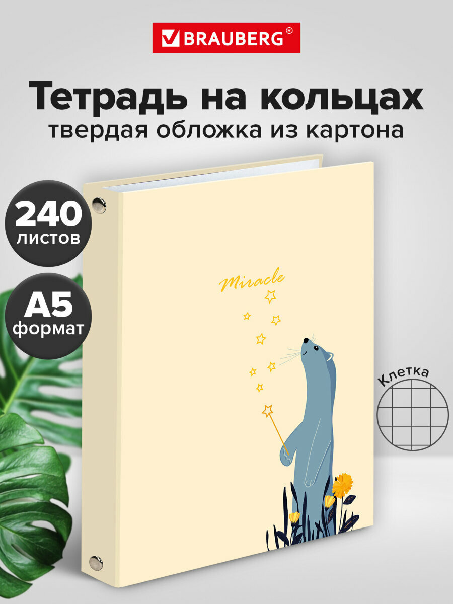Тетрадь на кольцах А5 (175х215 мм), 240 листов, твердый картон, клетка, Brauberg, Miracle, 404093