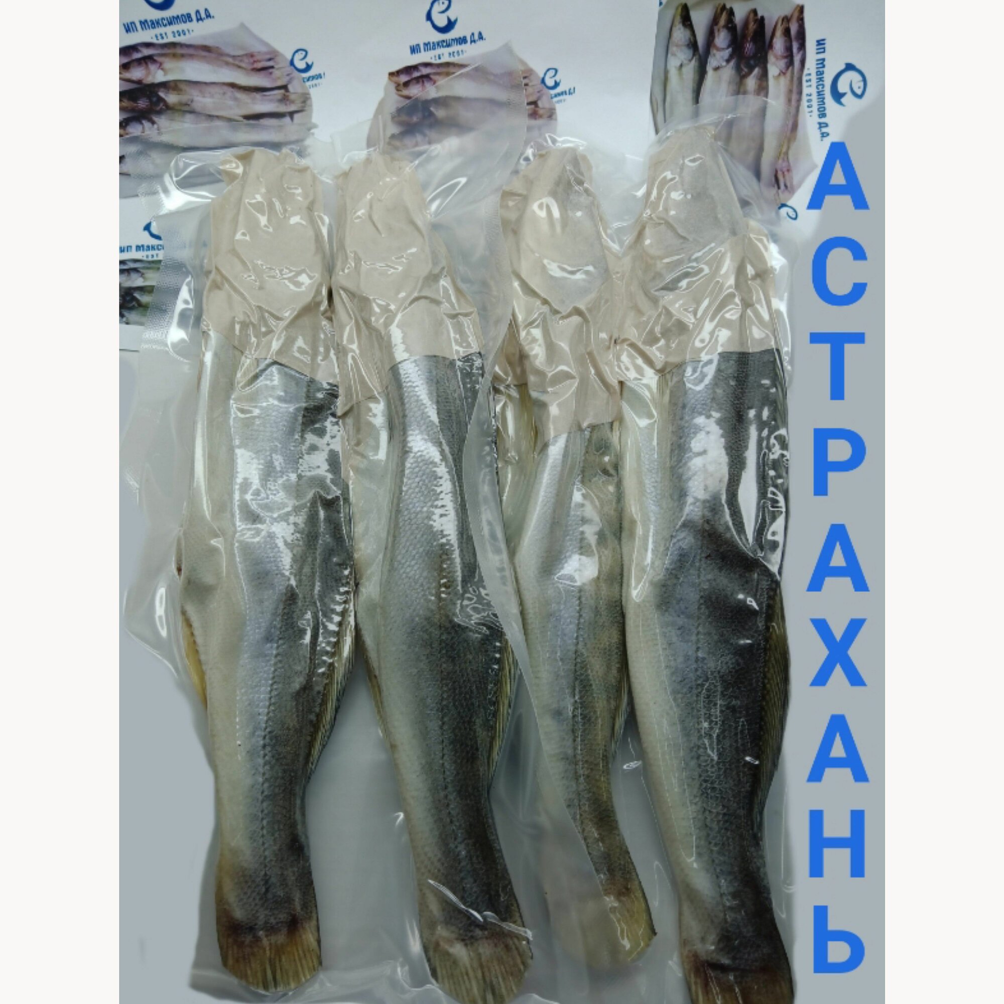 Судак, Астраханский, в/у 1000 грамм — фото 1