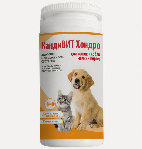 Изображение товара Кормовая добавка для кошек и собак КандиВИТ Хондро для поддержания здоровья и подвижности суставов , 50 таб