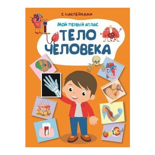 фото Книга с наклейками. мой первый атлас. тело человека омега