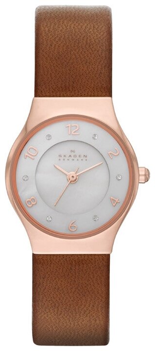 Наручные часы SKAGEN SKW2210