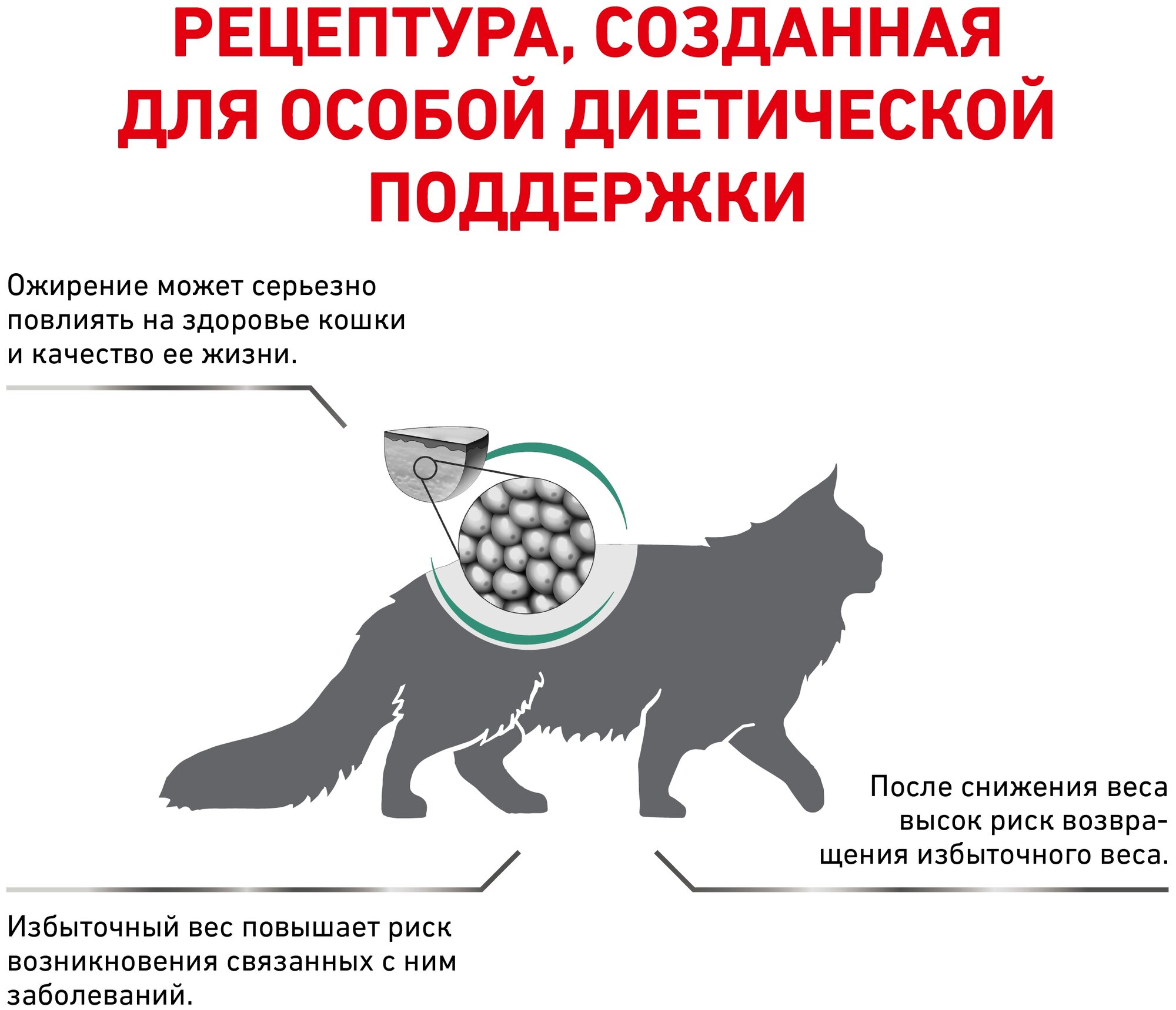 Сухой корм для кошек Royal Canin Satiety Weight Management SAT34, для снижения веса 400 г - фотография № 8