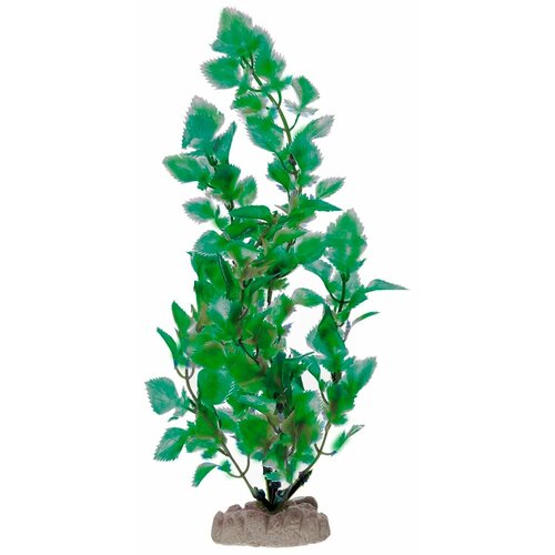 Растение Микрантемум зелёный пластик 46см