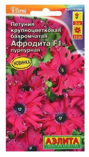 Семена Петуния Афродита F1 пурпурная крупноцветковая бахромчатая 10 шт 4657919