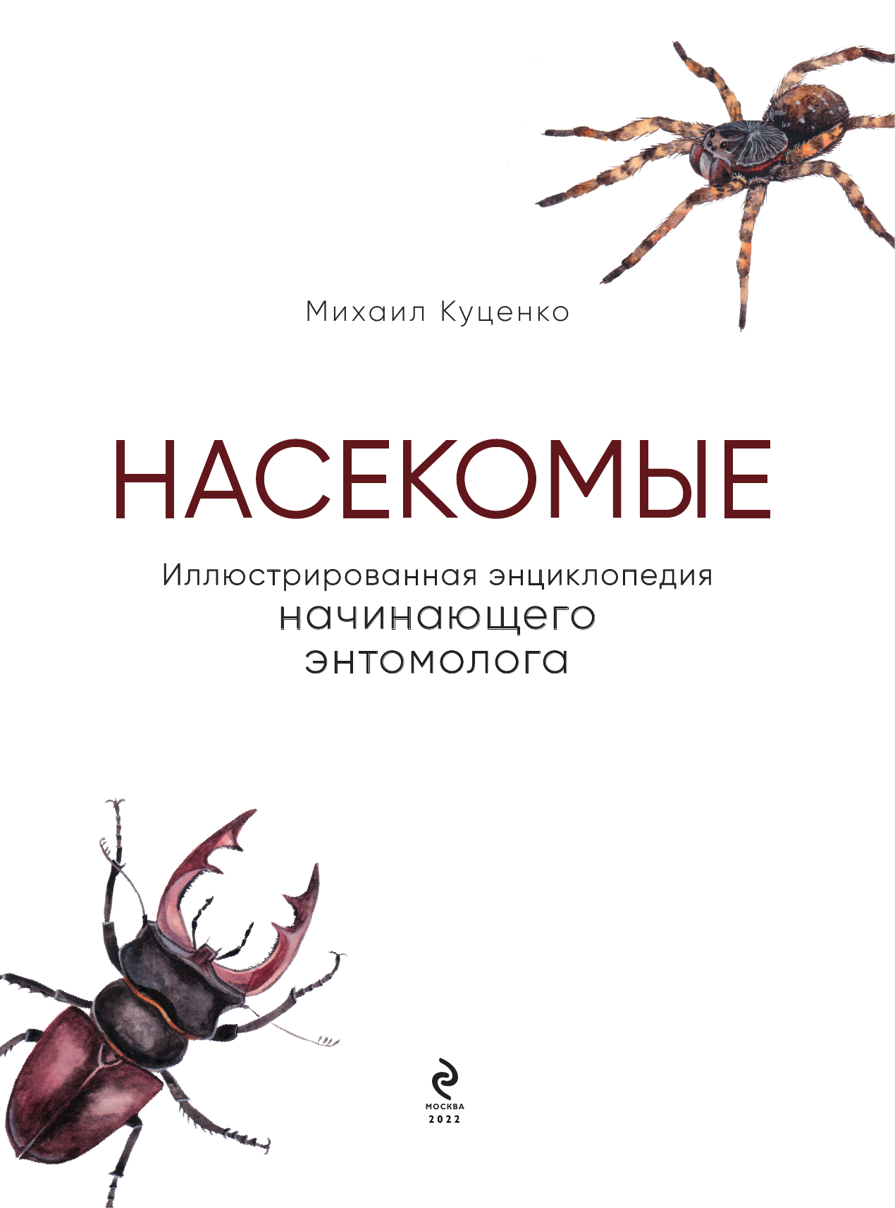 Насекомые. Иллюстрированная энциклопедия начинающего энтомолога. 240 популярных видов - фото №6