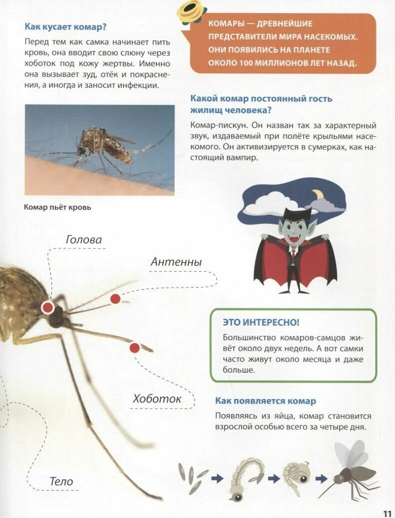 Всё о насекомых малышам (Ктиторова Екатерина (редактор)) - фото №15