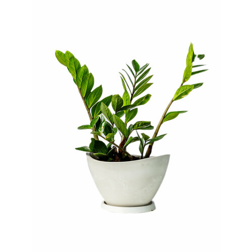 Горшок для растений лодочка 2,8Л С поддоном белый камень 250*180*150GREEN SHIP