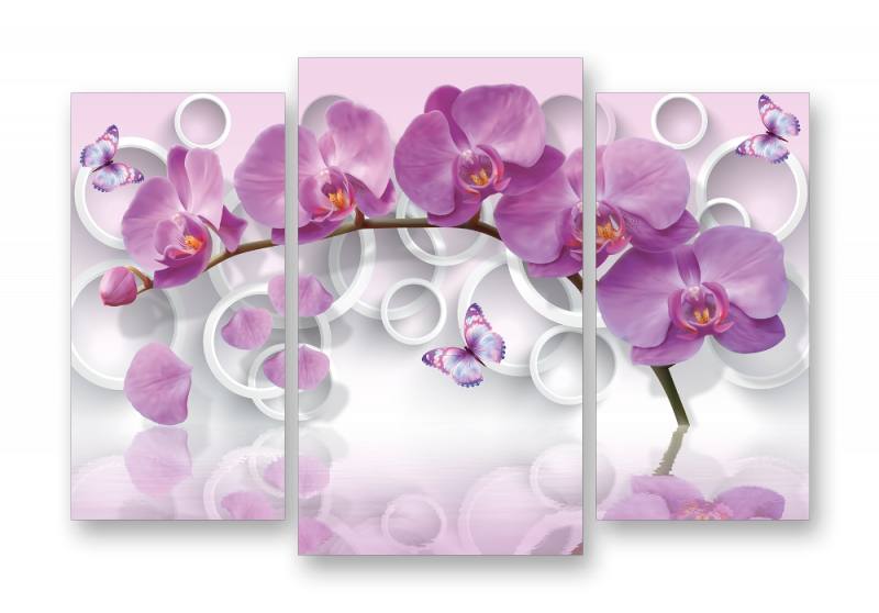 Модульная картина на холсте | Diva Kartina | Цветы. Орхидеи. Нежное отражение | 70X49 см