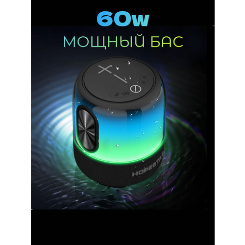 Беспроводная колонка HOPESTAR SC-01 60W черный 1066500₽