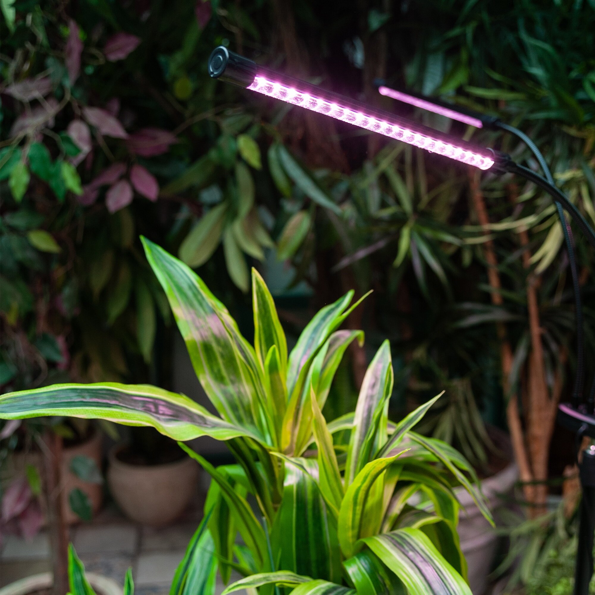 Светодиодный светильник для растений Uniel Minigarden ULT-P32-60W/SPLE/TM/40 UL-00008906 - фото №5