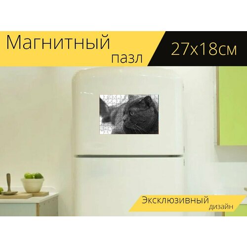 Магнитный пазл Похмелье, кот, серый на холодильник 27 x 18 см. магнитный пазл кот похмелье красное похмелье на холодильник 27 x 18 см