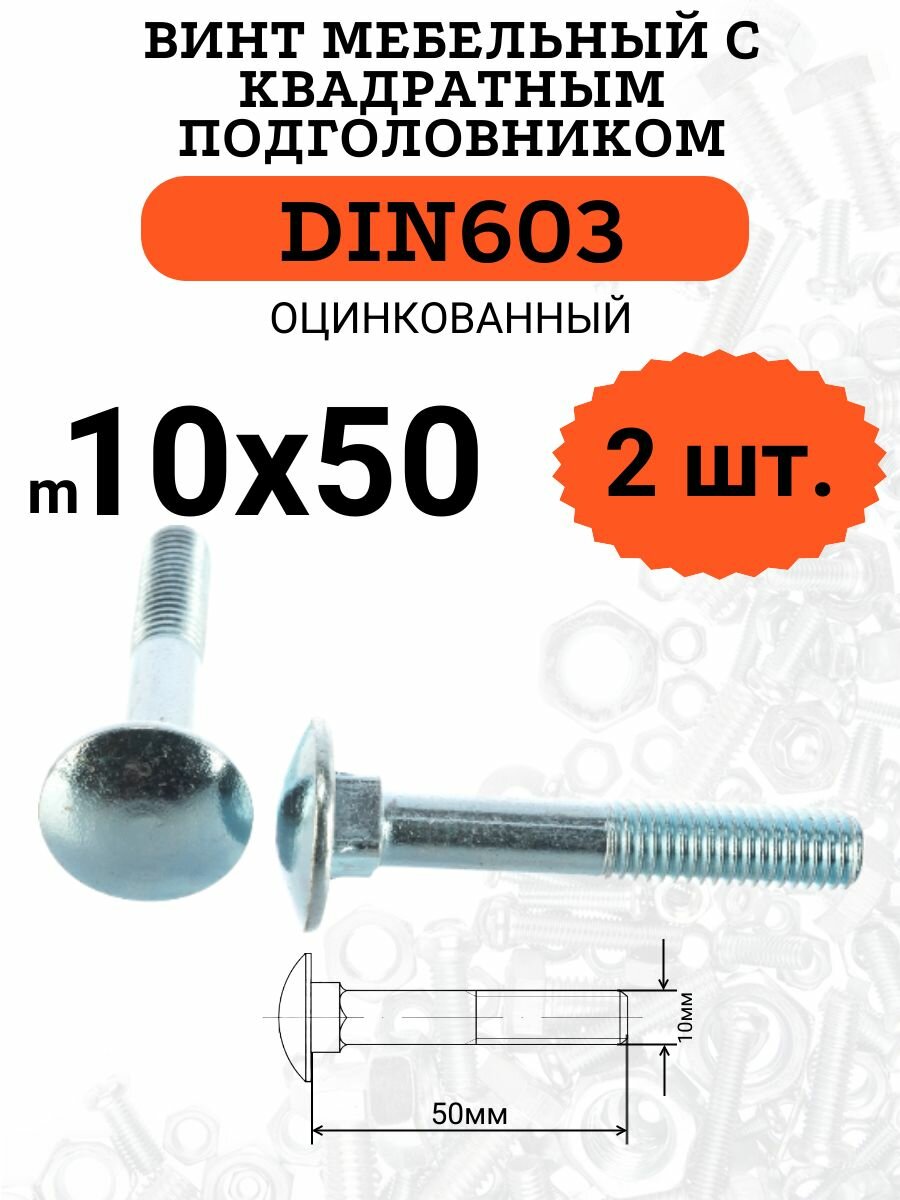 DIN603 М10х50 винт мебельный с квадратным подголовником, 2 шт.