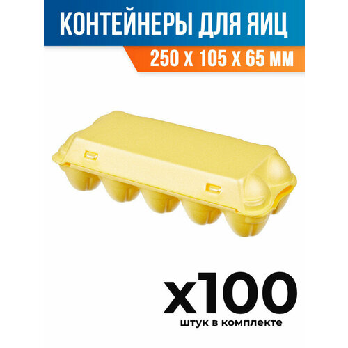 (100 шт.) - Контейнер-упаковка (лоток) для яиц, 250x105x65 мм, ВПС (ПОС27861_100)