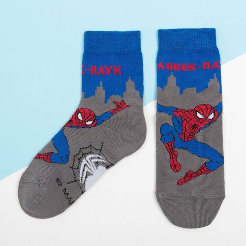 фото Носки размер 18-20, серый, синий нет бренда