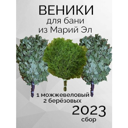 Комплект веников для бани, береза 2 штуки, можжевельник из Марий Эл веники для бани из марий эл отборные с ручкой из джута 3 штуки в коробке