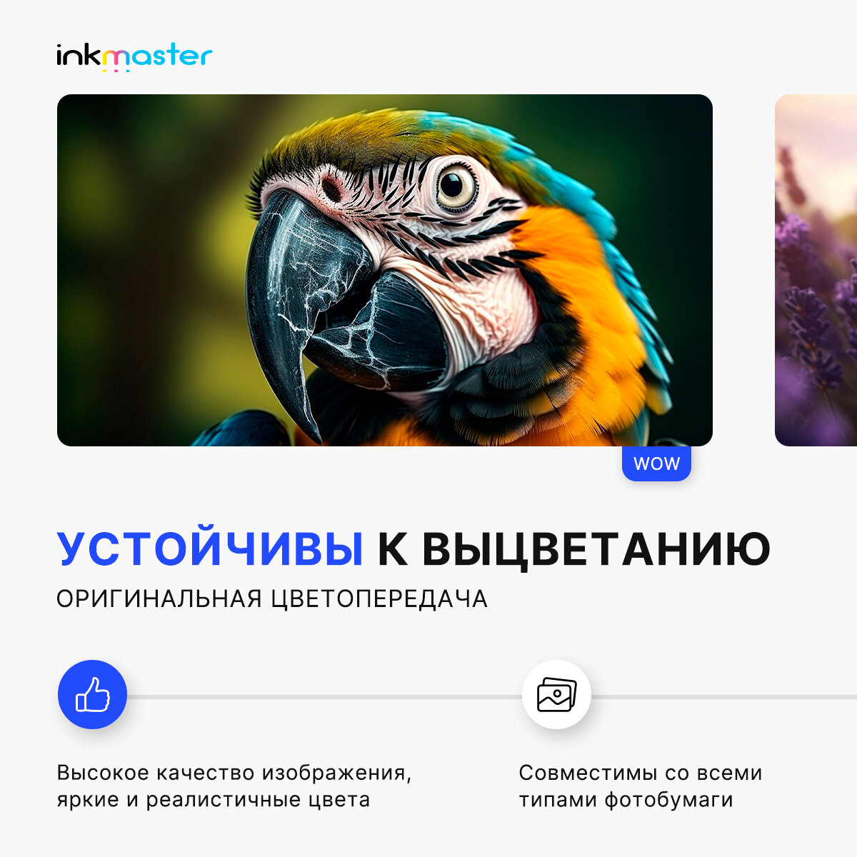 Чернила (краска) T664 для Epson L100 L110 L120 L121 L200 L210 L300 L350 L355 и тд, комплект заправки принтера 4 цвета — фото 1