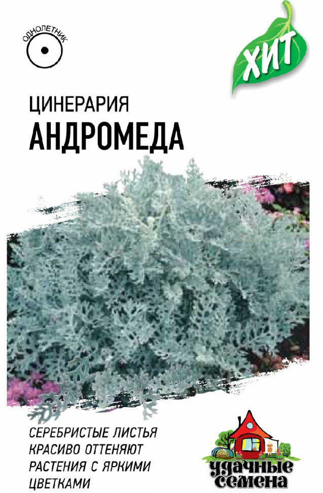 Семена Цинерария приморская Андромеда, 0,05г, Удачные семена, серия ХИТ, 20 пакетиков