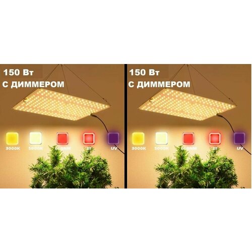 Комплект светильников для растений с диодами Samsung LM281b+2 шт/ quantum board/модель QBD 1500 MAX 150Вт/ 4000К, 450-660 нм/ фитолампа с полным спектром ИК УФ