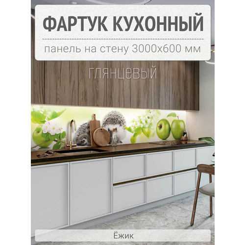 Фартук для кухни на стену 3000х600 мм, Ёжик