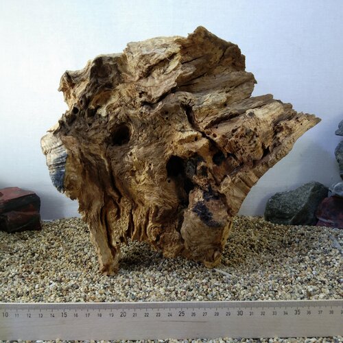 Коряга натуральная коряга натуральная сакура desert driftwood xxl