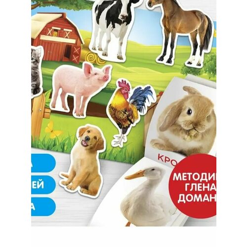 Игра на липучках мир домашних животных методика Домана 291₽