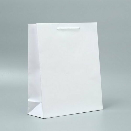 Пакет ламинированный White, M 24 x 29 x 9 см