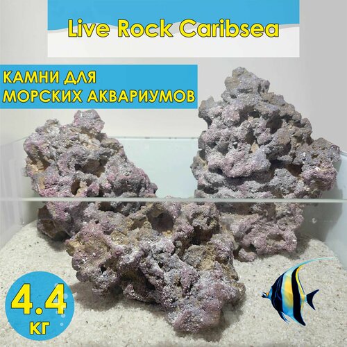 Набор камней для морского аквариума 4,4 кг/ Live rock Caribsea