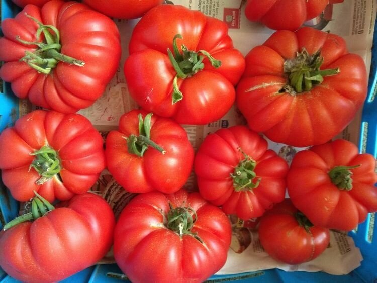 Семена томата ПОИСК Агрохолдинг  Рубиновые дольки   для открытого грунта  12шт