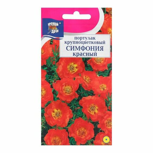 Семена цветов Портулак симфония, красный, 0,05 г ( 1 упаковка )