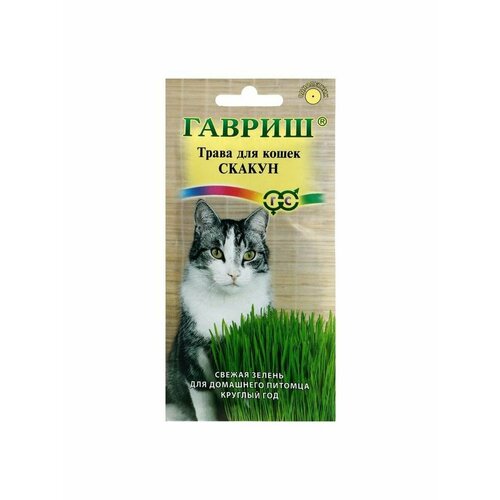 Семена Трава для кошек Гавриш Скакун, 10 г гавриш семена трава для кошек скакун 10 г