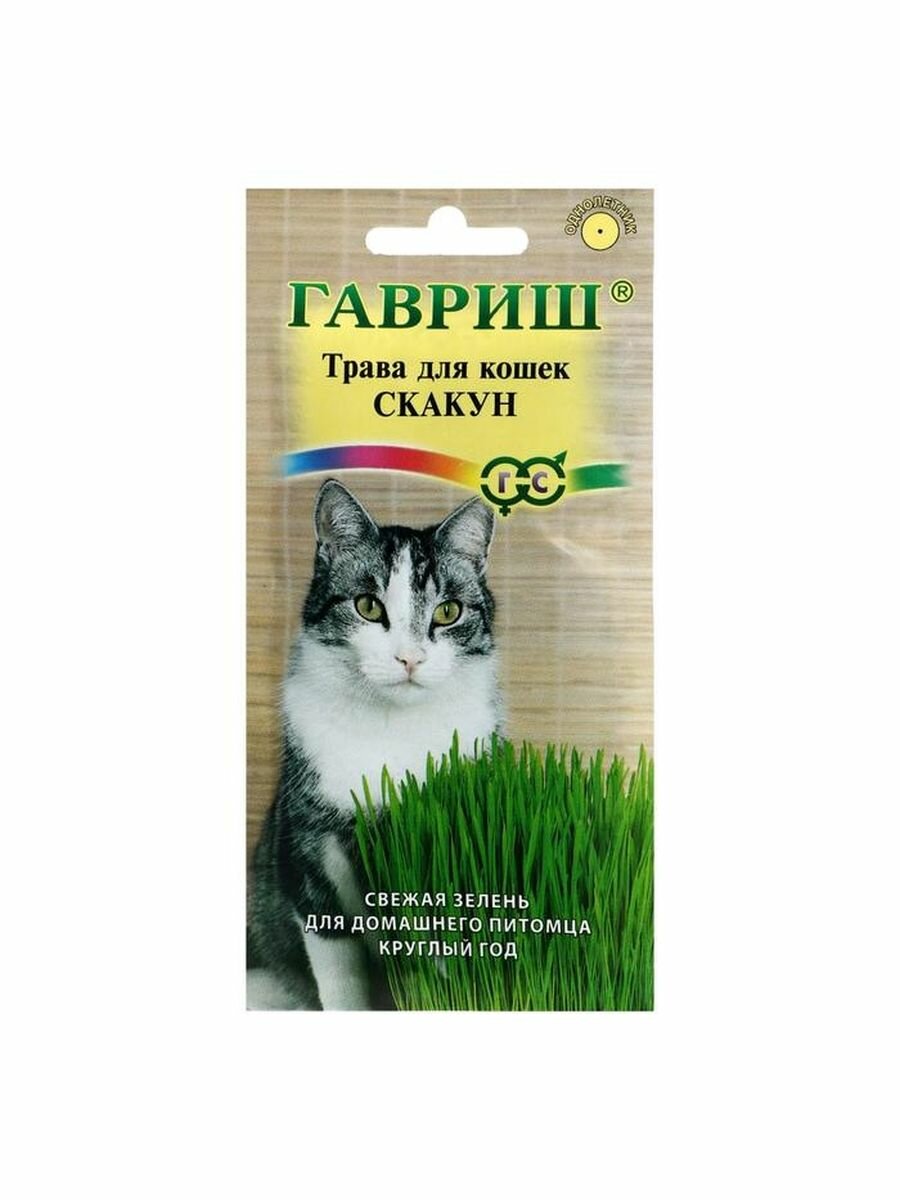 Семена Трава для кошек 