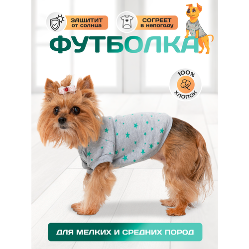Футболка трикотажная, летняя, для собак «Звёзды» р. 28 (длина изделия 22-24 см)