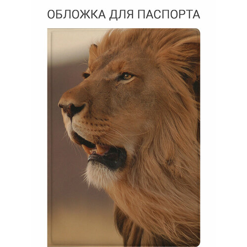 Обложка для паспорта SLVGO, бежевый, черный, белый