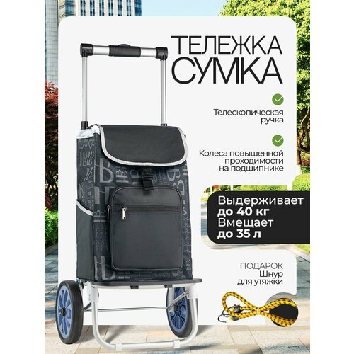 Сумка-тележка Carro, черный