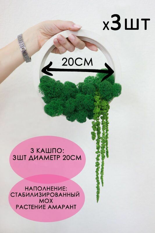 настенный декор кашпо 3шт со мхом оттенок зеленый